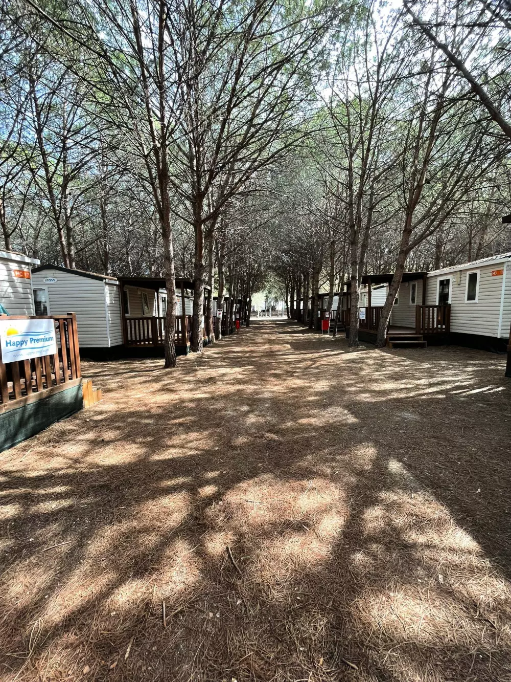 Campingplads Iscrixedda Tæt på