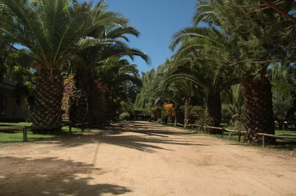 Campingplads Iscrixedda Tæt på