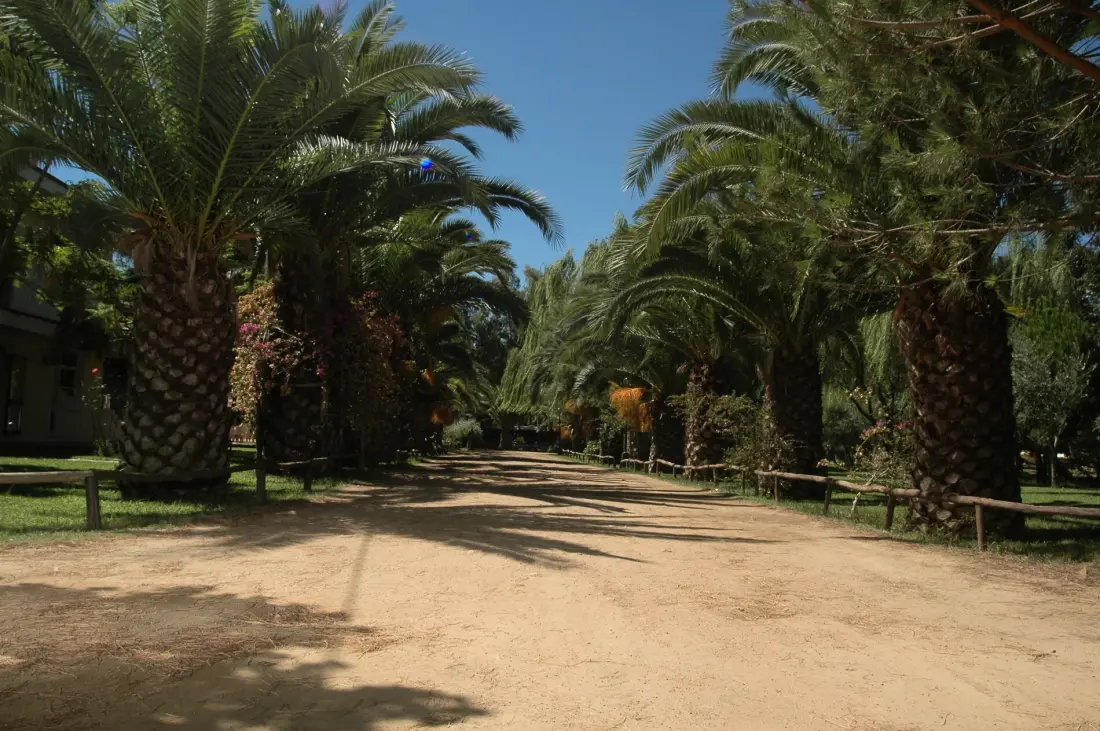 Campsite Iscrixedda 3 Csillagok★★★