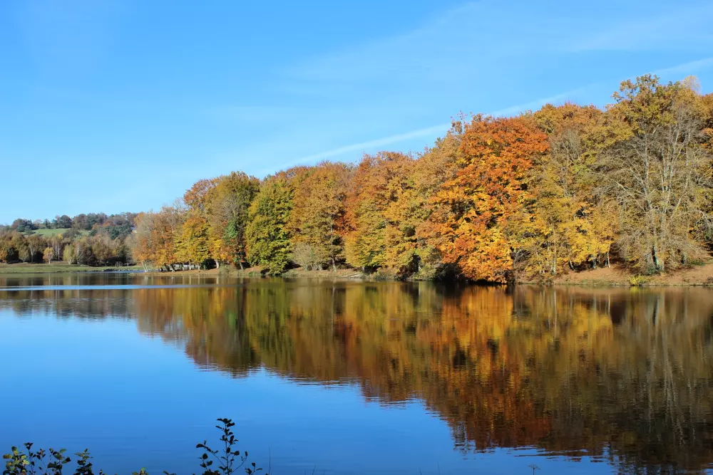 Campingplatz LA GARRIGUE 3 Sterne★★★