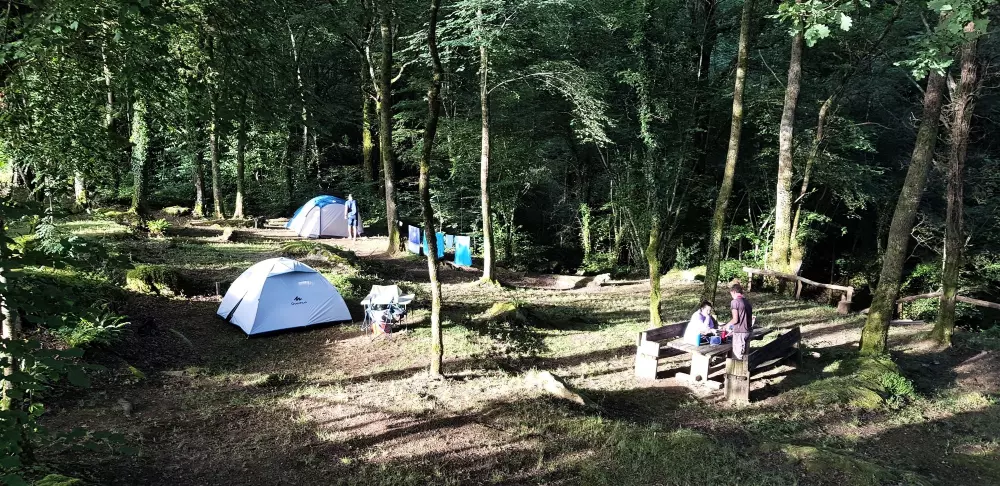 Campeggio La Forêt 8 Stelle★★★★★★★★