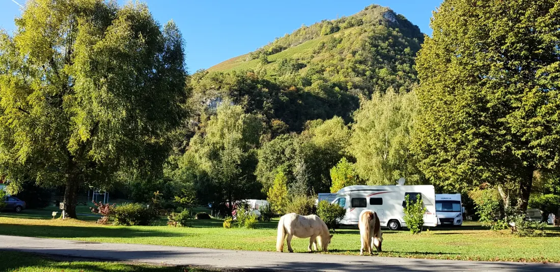 Camping La Forêt 4 étoiles★★★★