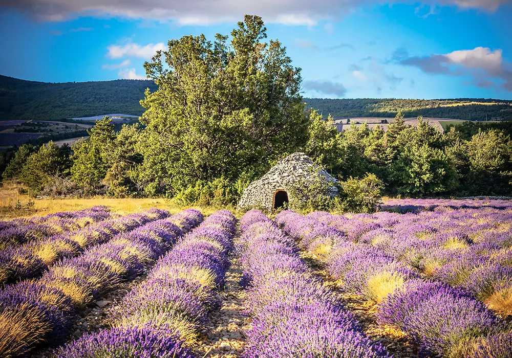 Campasun Camping Les Hautes Prairies 4 Sterren★★★★