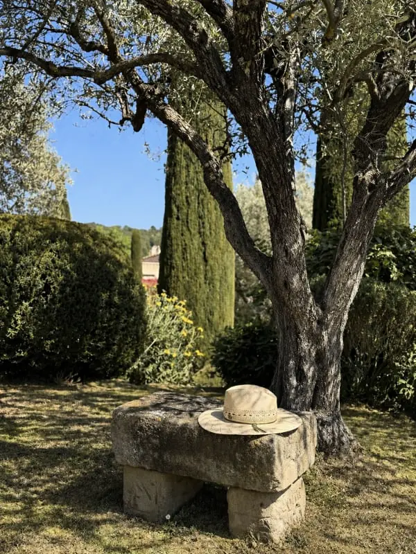 La Pergola Lourmarin 4 hálószoba 4 fürdőszoba, Úszómedence