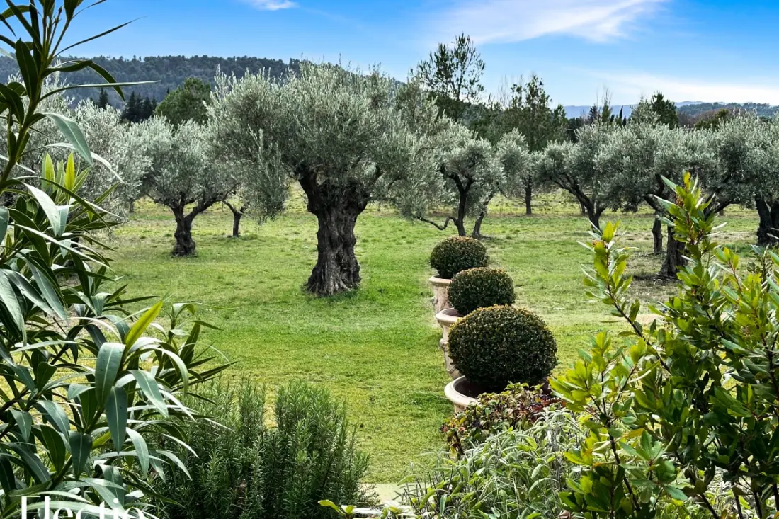 Apartman I Bastide La Gravière I Swimming Pool & Garden