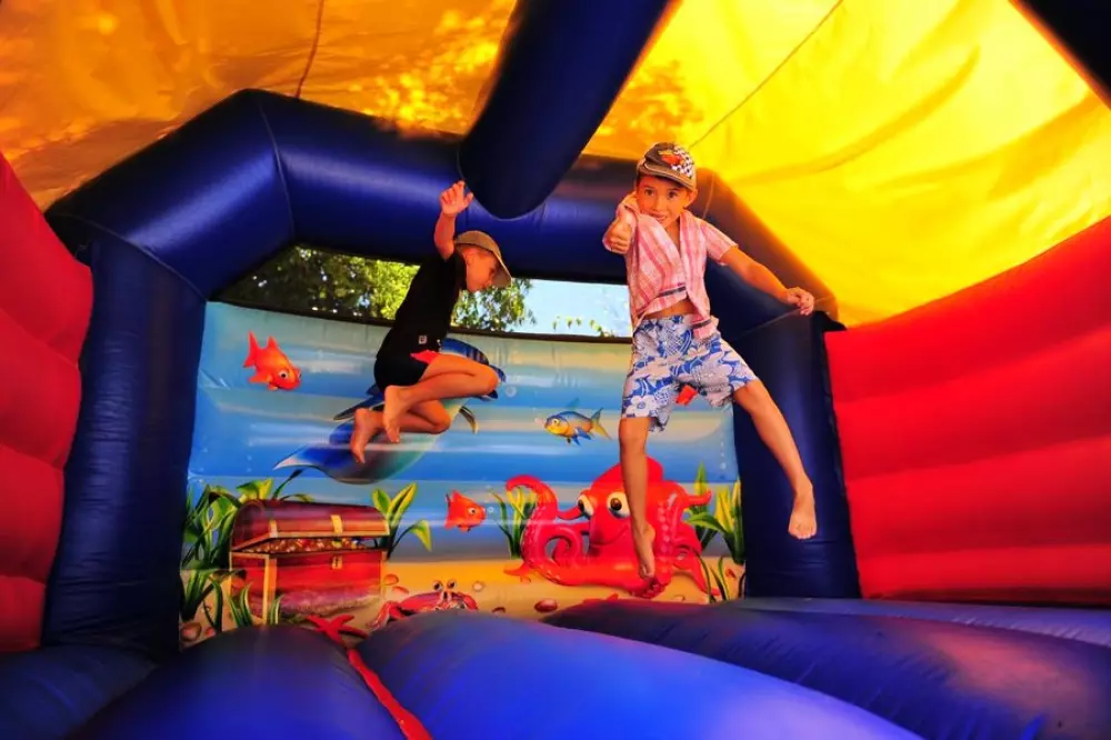 Camping Domaine des Guifettes 3 Estrellas★★★