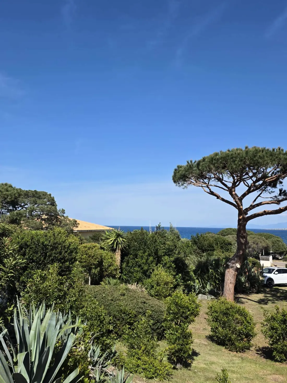 Residence I Gatti