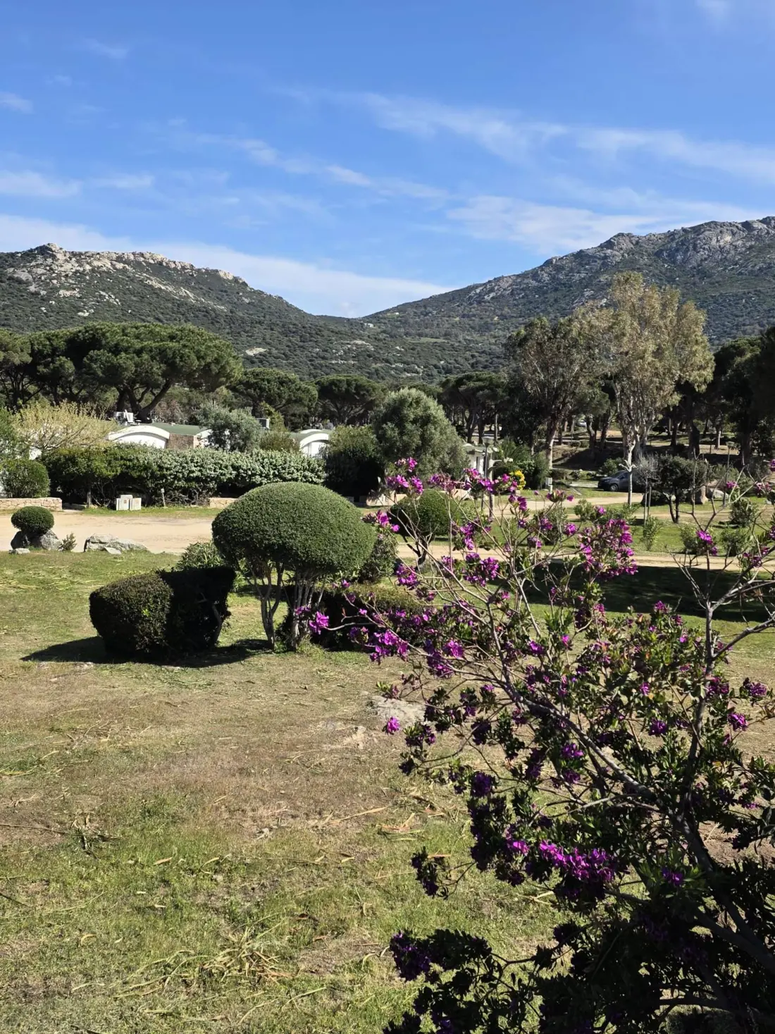 Residence I Gatti