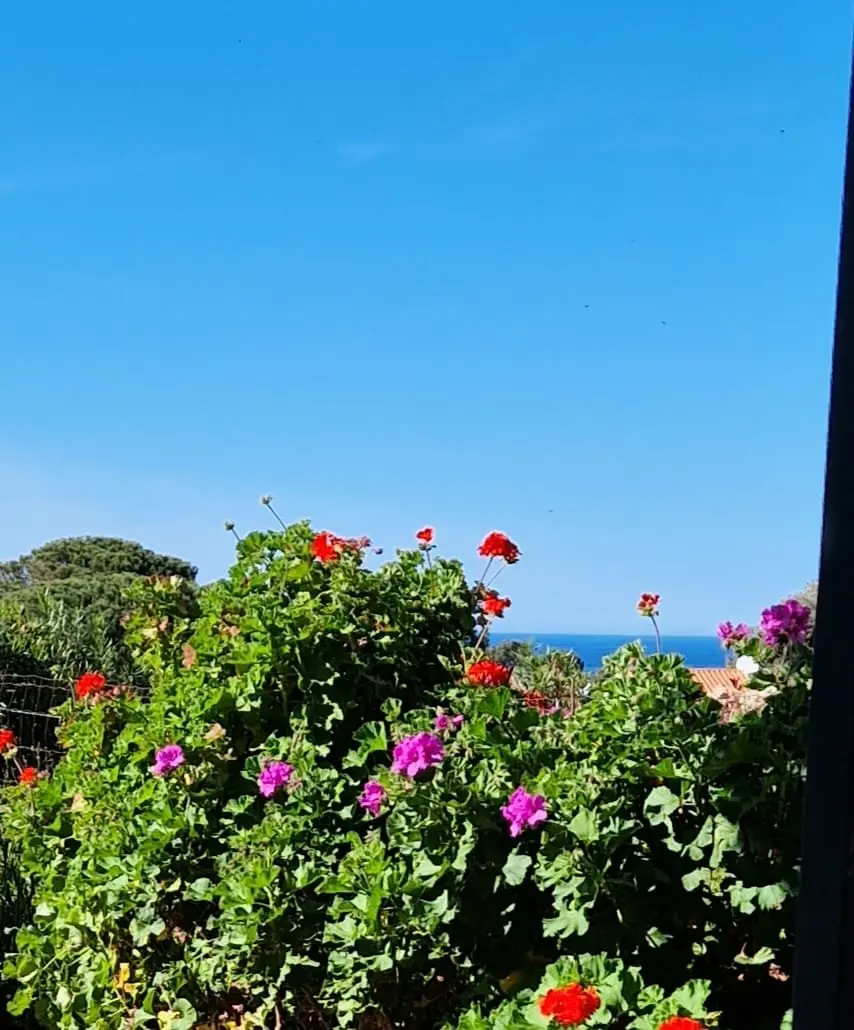 Residence Les Bougainvilliers