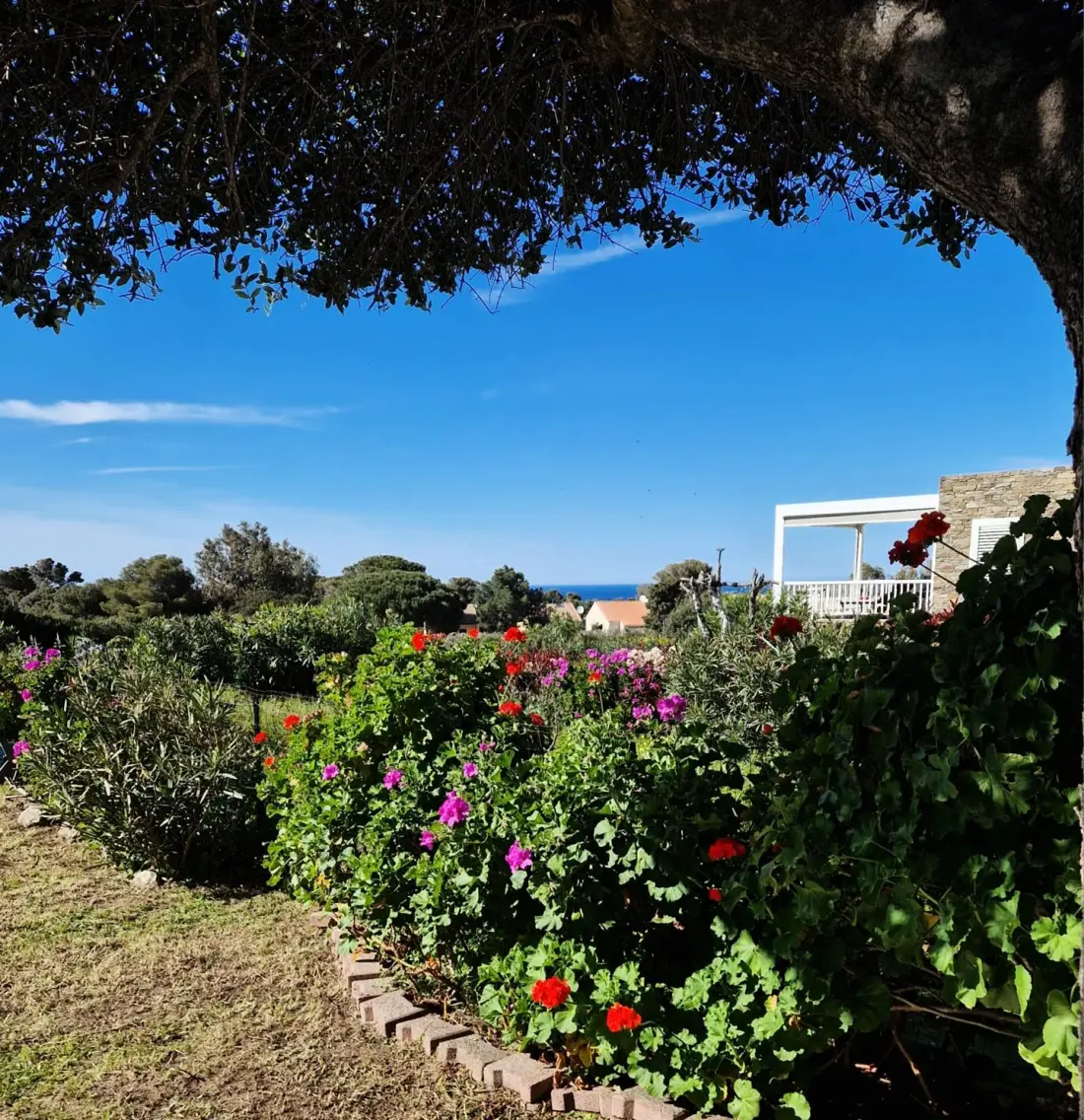 Residence Les Bougainvilliers