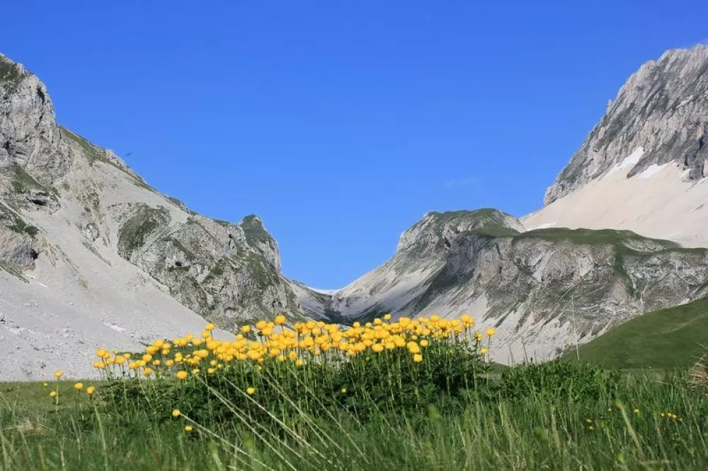 Campingplads CHAMP LA CHEVRE Reservedele