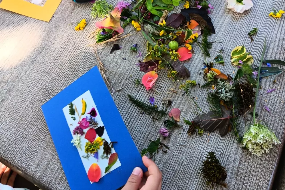 Campingplads CHAMP LA CHEVRE Reservedele