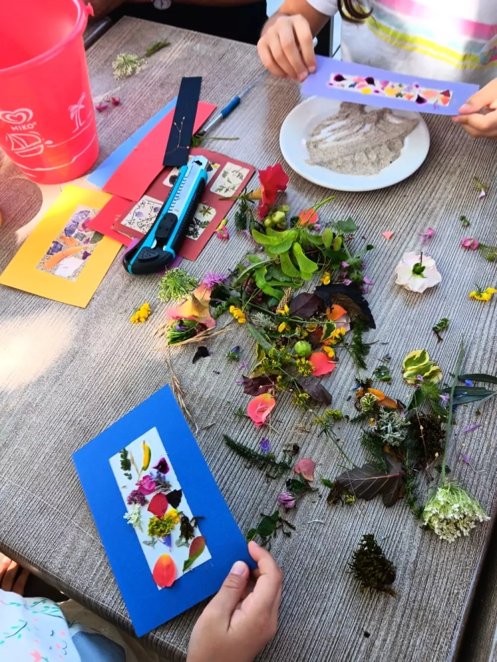 Campingplads CHAMP LA CHEVRE Reservedele