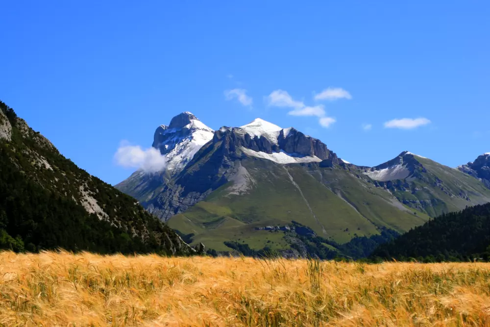 Campingplads CHAMP LA CHEVRE Reservedele