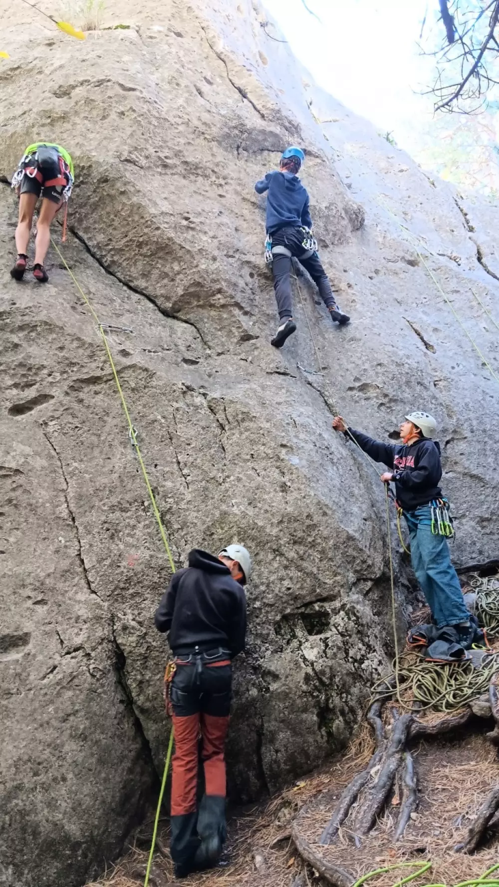 Campingplads CHAMP LA CHEVRE Reservedele