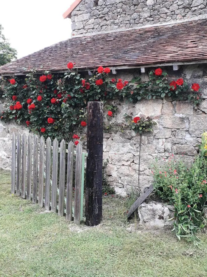 Gîte de France De 3 oren rivaal