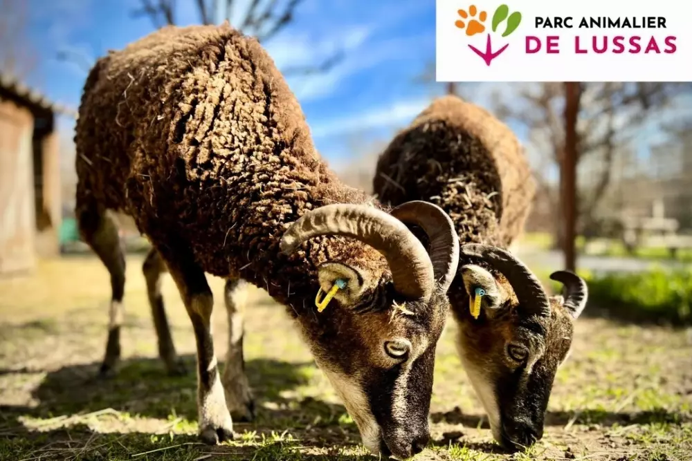 Camping maeva Escapades Ludo Parc 3 Stars★★★