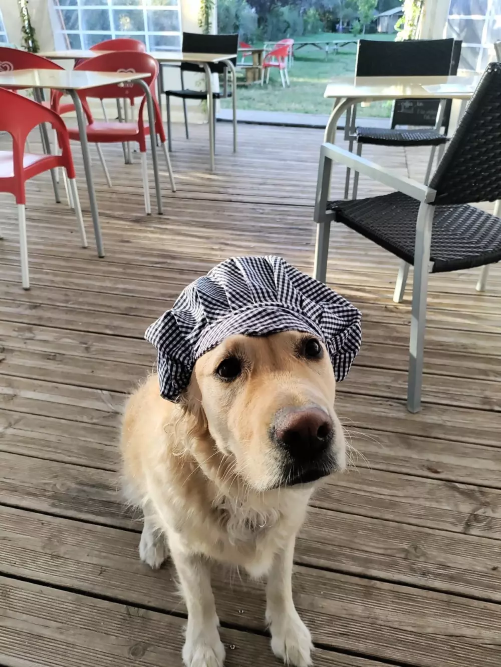 Flower Camping Les Granges 3 Stars★★★