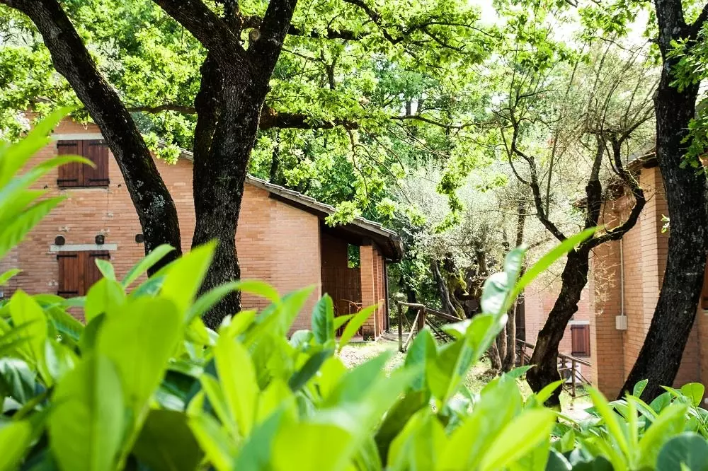 Camping Village Cerquestra 3 Stjerner★★★