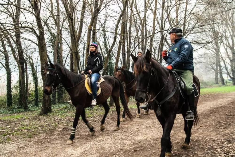 Camping Village Cerquestra 3 Stjerner★★★