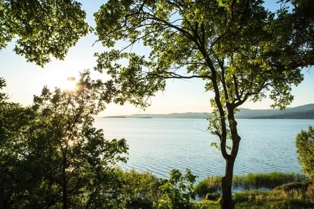 Camping Village Cerquestra 3 Stjerner★★★