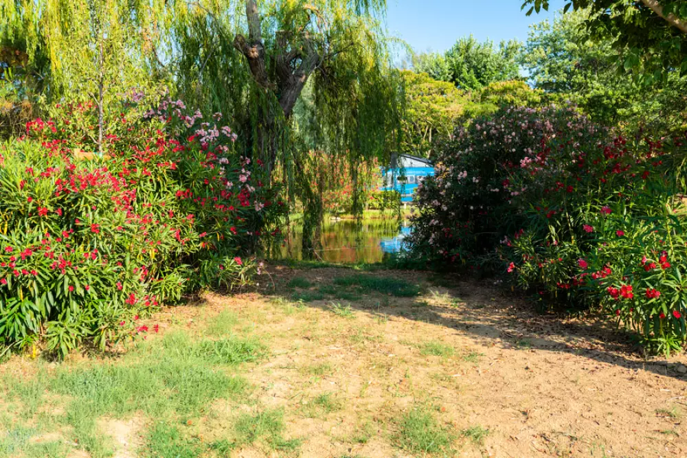 Trasimeno Glamping Resort