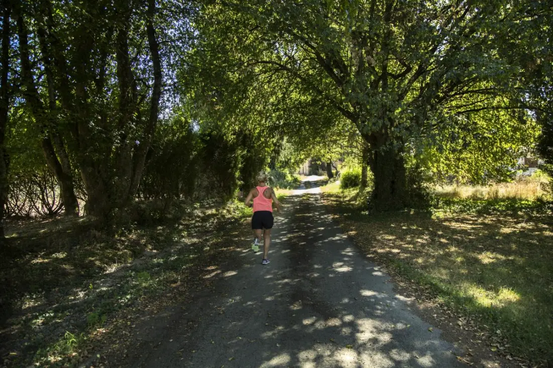 Gîte de France La thibarderie 3 oren