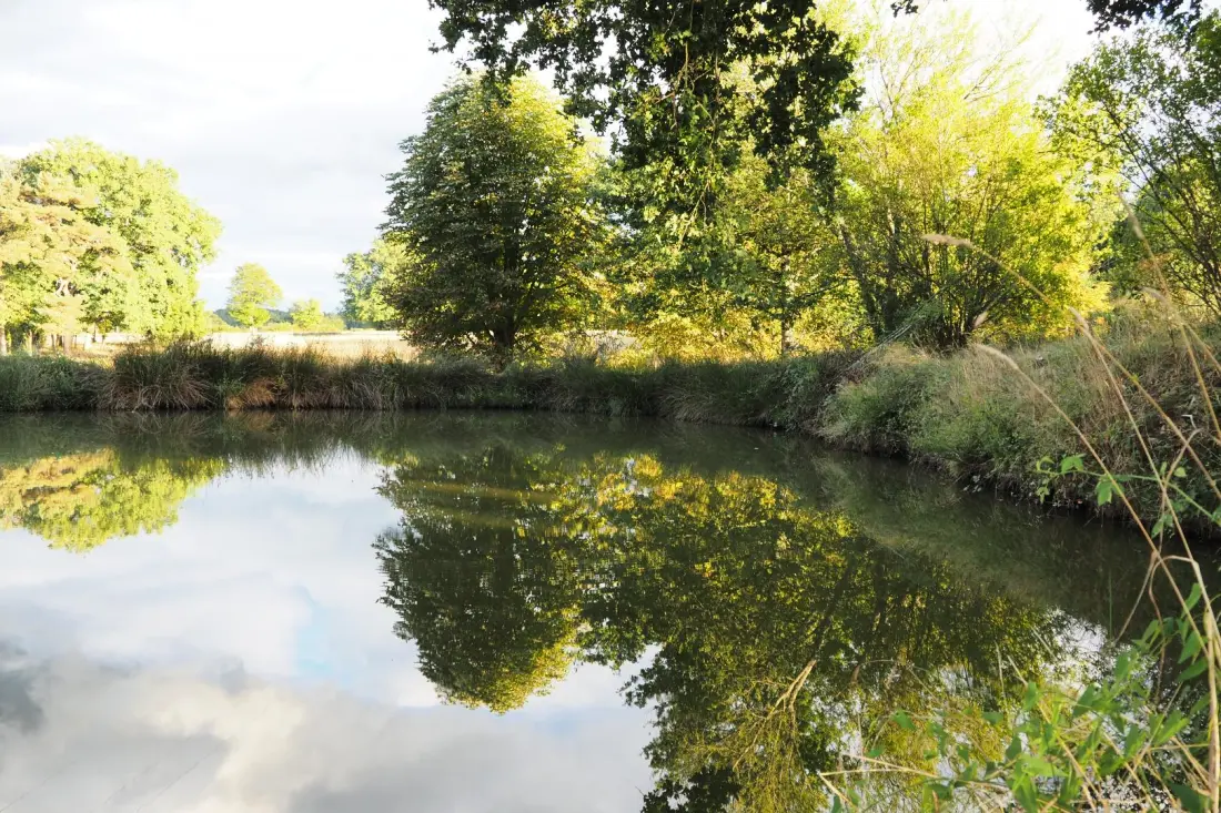 Gîte de France Montbrugnaud: “de drie eiken” 3 korenaren