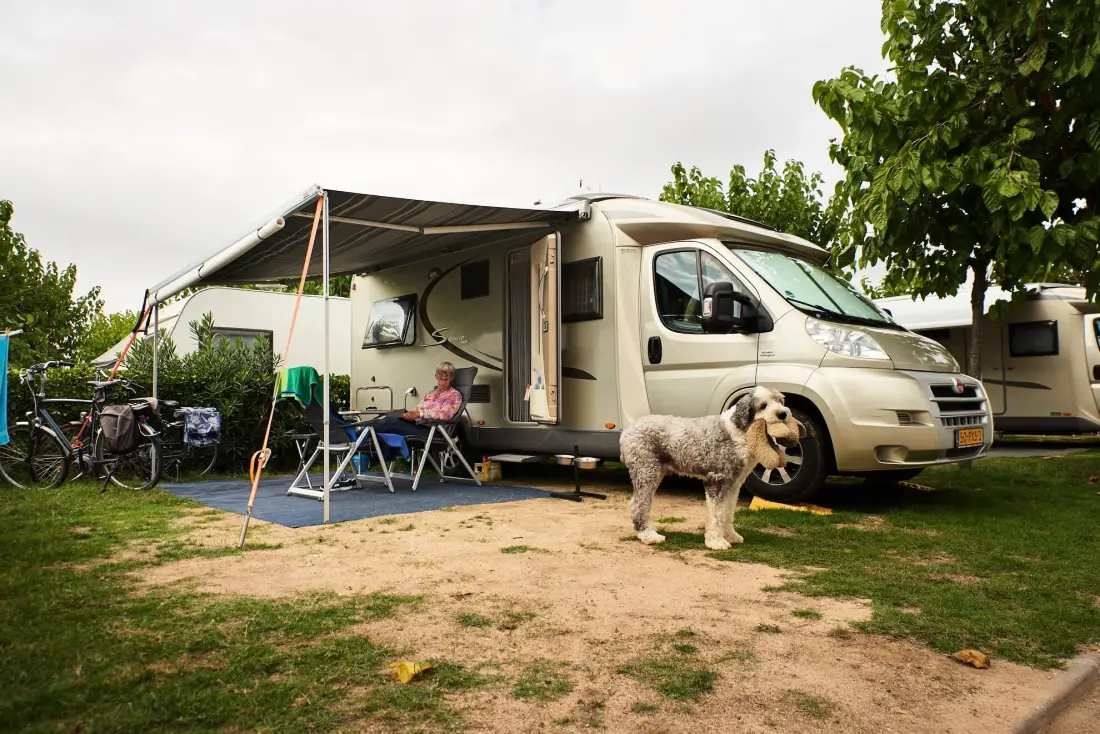 Camping Resort Els Pins .