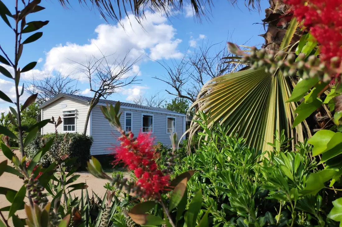 Camping Resort Els Pins .