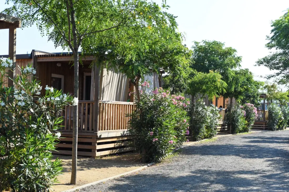 Camping Resort Els Pins .
