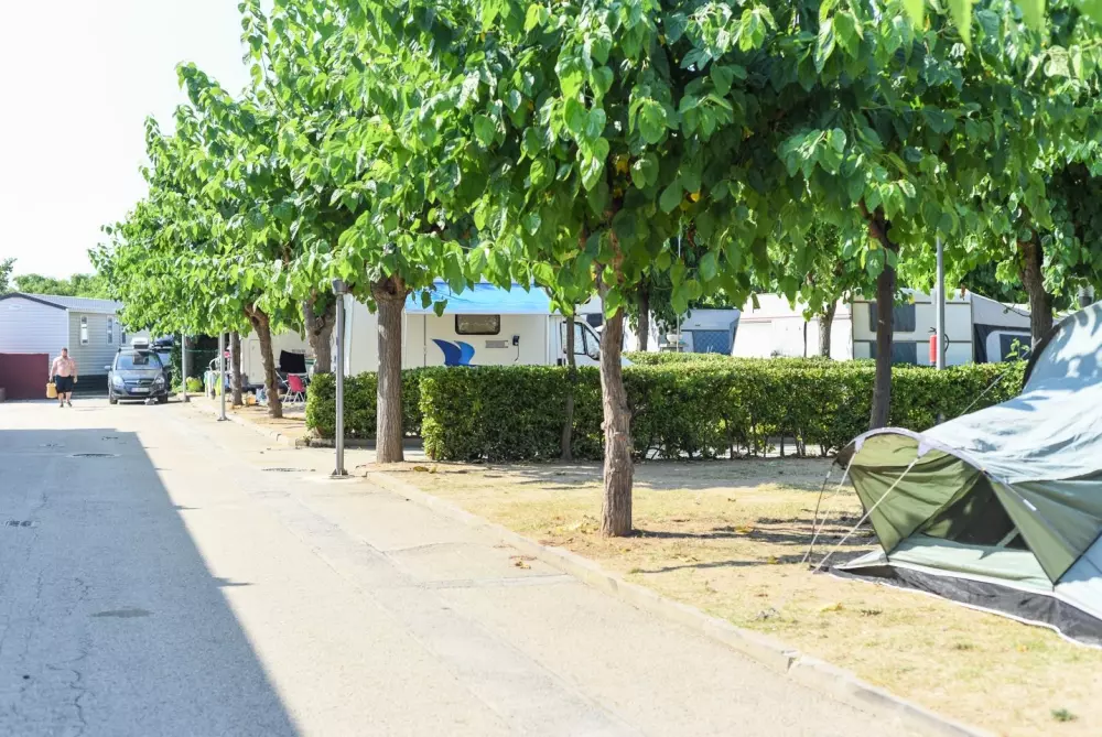 Campsite Resort Els Pins /