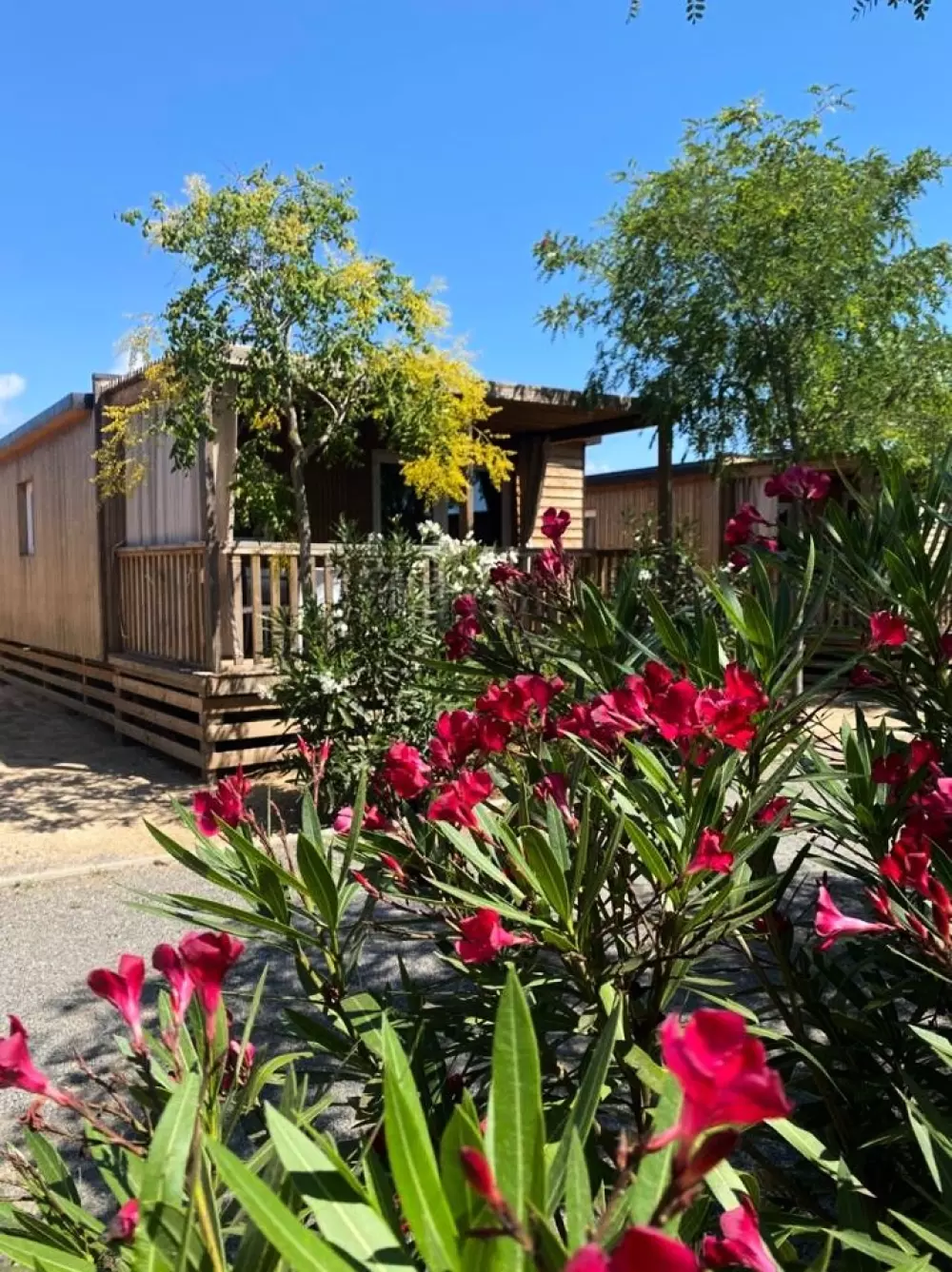 Campsite Resort Els Pins /