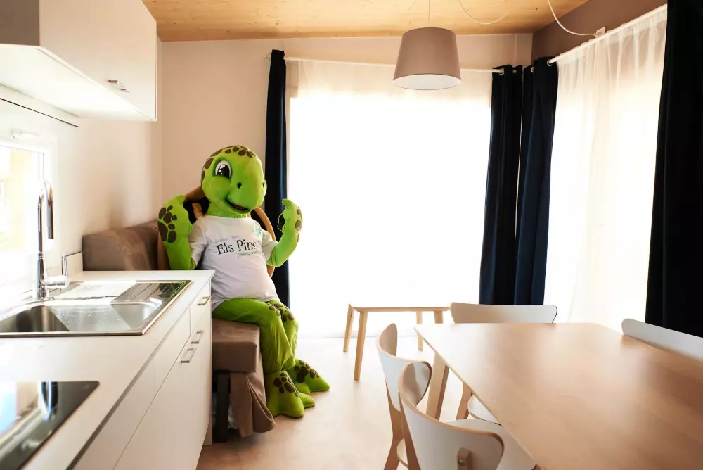 Campsite Resort Els Pins /