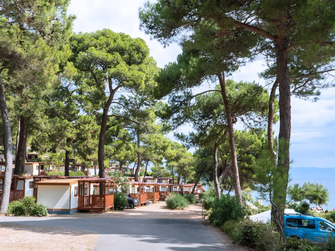 Baia Holiday Poljana 3 Sterren★★★