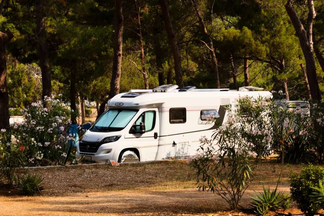 Baia Holiday Poljana 3 Sterren★★★