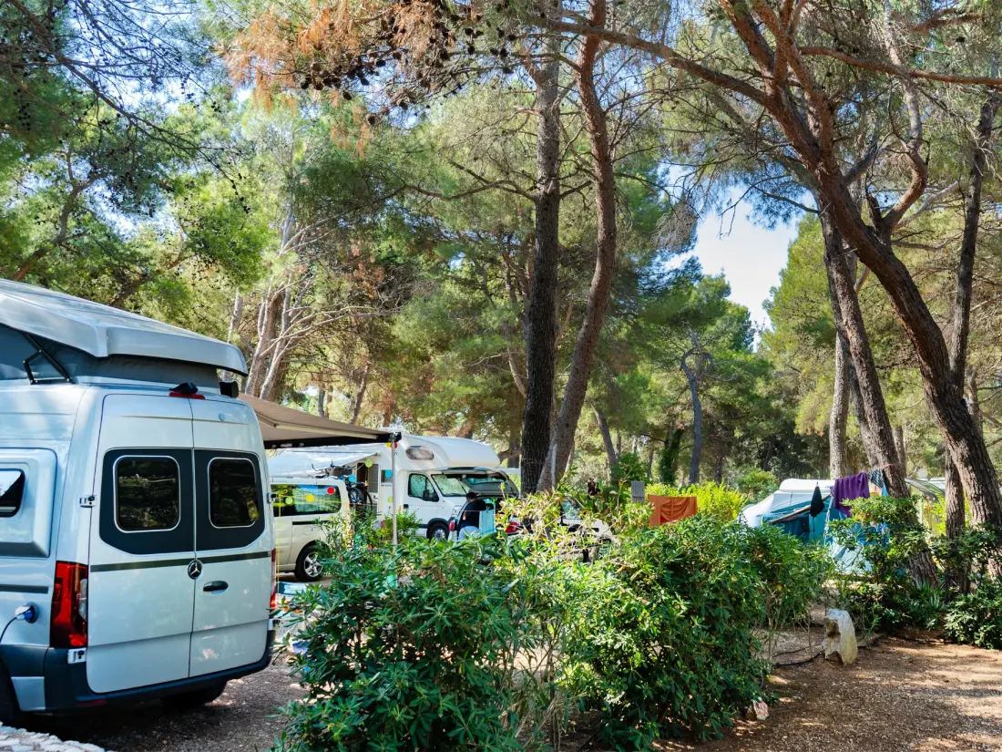 Baia Holiday Poljana 3 Sterren★★★