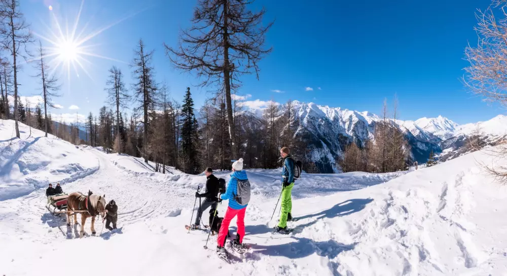 Campingplatz HOCHoben