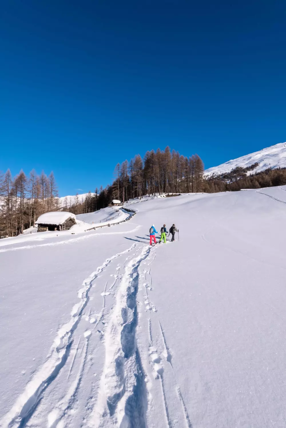 Campingplatz HOCHoben