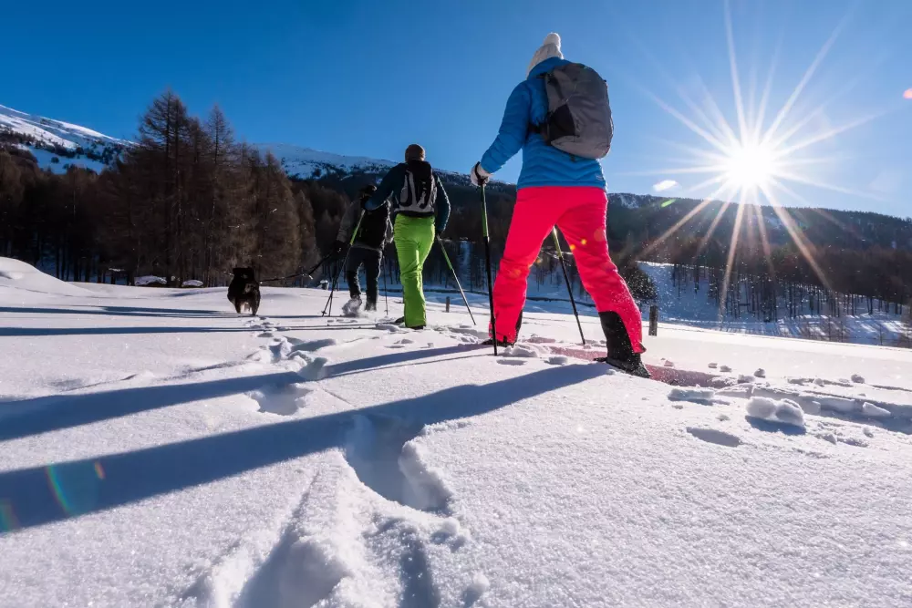 Campingplatz HOCHoben