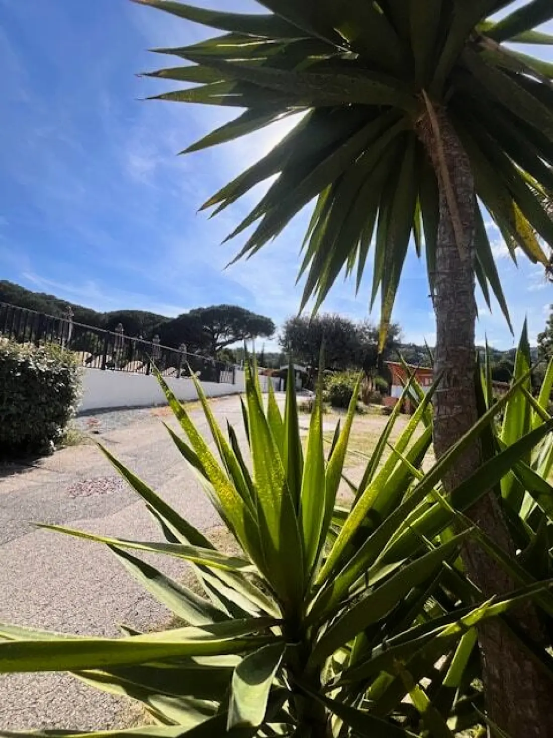 Campingplads La Provençale Tætning