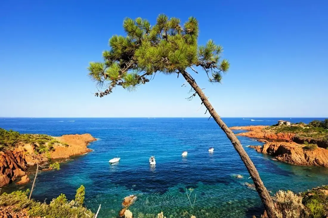 Campingplads La Provençale Tætning