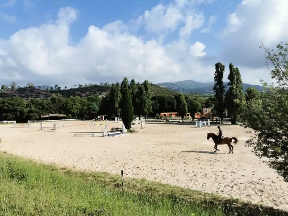 Campingplads La Provençale Tætning