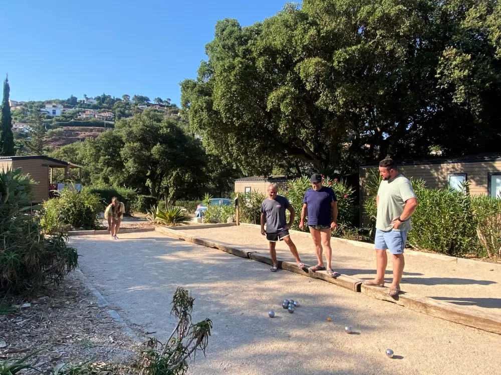 Campsite La Provençale 4 Stars★★★★