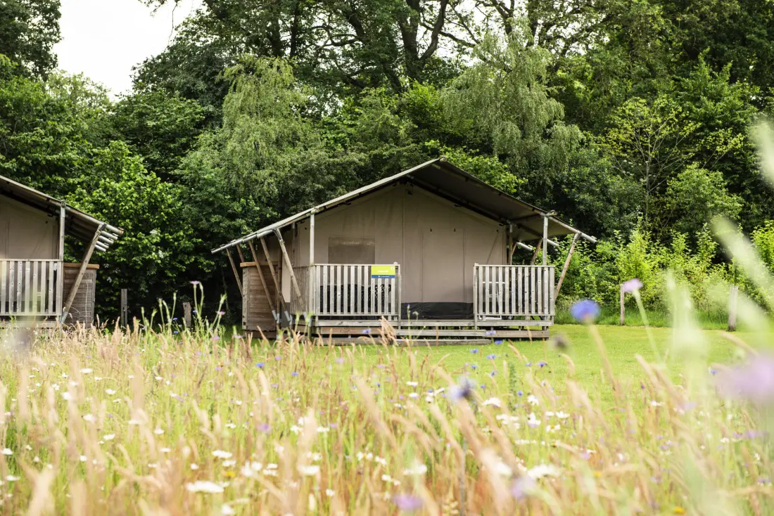 Camping Dal van de Mosbeek (Vodatent)