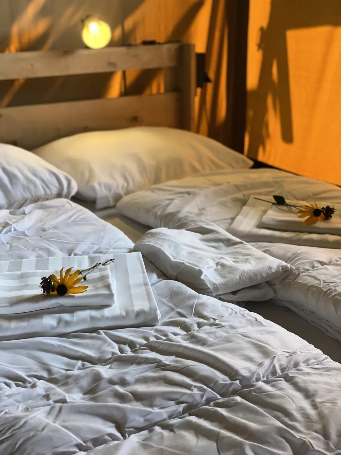 Camping Dal van de Mosbeek (Vodatent)
