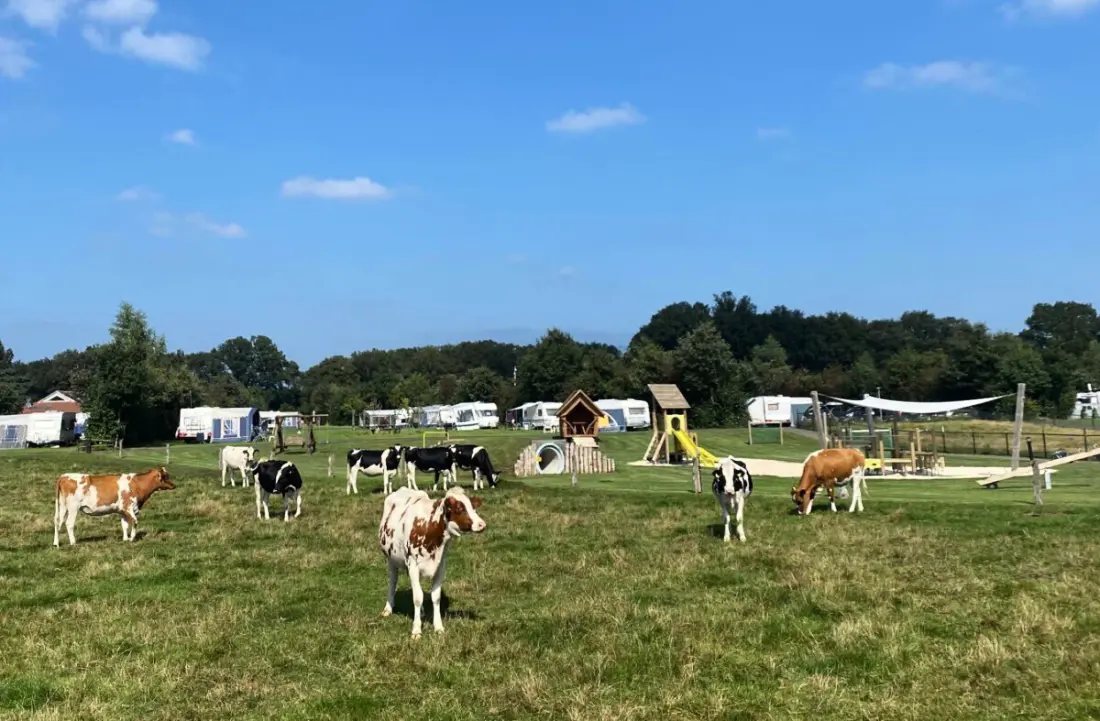 Camping Dal van de Mosbeek (Vodatent)