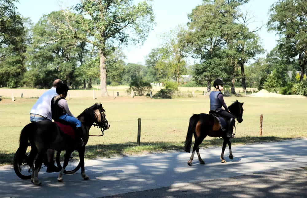 Camping Dal van de Mosbeek (Vodatent)