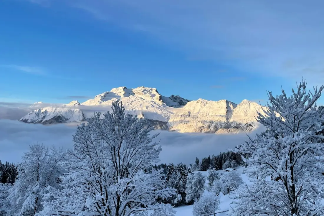 Slow Chalet Tekoa 8 Pers 5 Min Tracks
