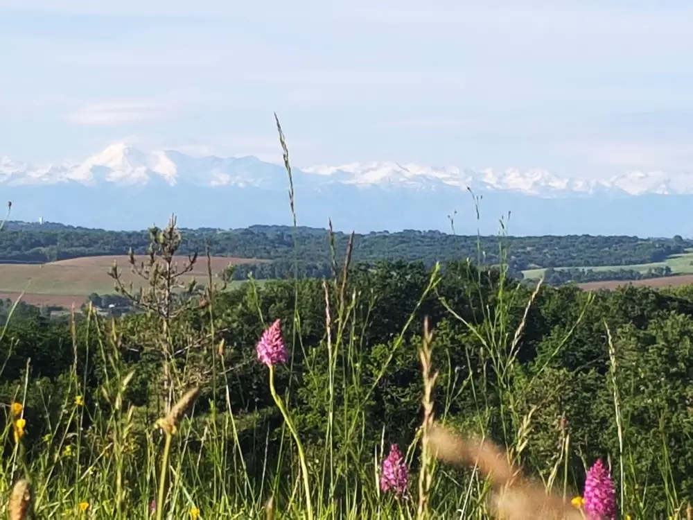 Camping am See 3 Sterne★★★